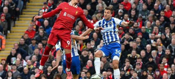 关于利物浦客场击败布莱顿，保住不败纪录继续领跑的信息