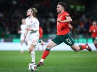 米兰体育网页版-葡萄牙名将成为话题人物，晋级欧锦赛决赛