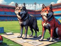 米兰体育网页版入口-狼队客场战平水晶宫，取得宝贵积分的简单介绍