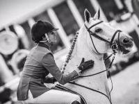 米兰体育在线-包含西班牙马术高手夺魁，实力传诵的词条