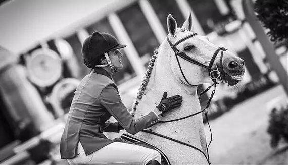 包含西班牙马术高手夺魁，实力传诵的词条